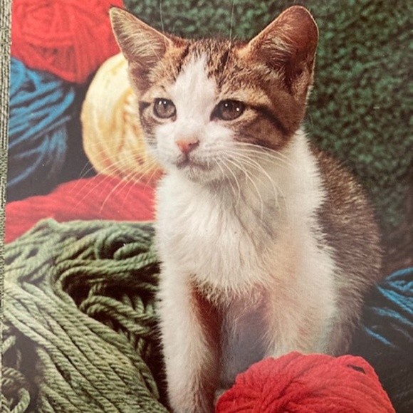 Angel Design by Sabri Ozel Italian Yarn Shawl Cardigan Large - Picture 5 of 5